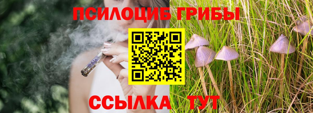 Галлюциногенные грибы Magic Shrooms  Вход с VPN  Советский  Галлюциногенные грибы MAGIC MUSHROOMS 