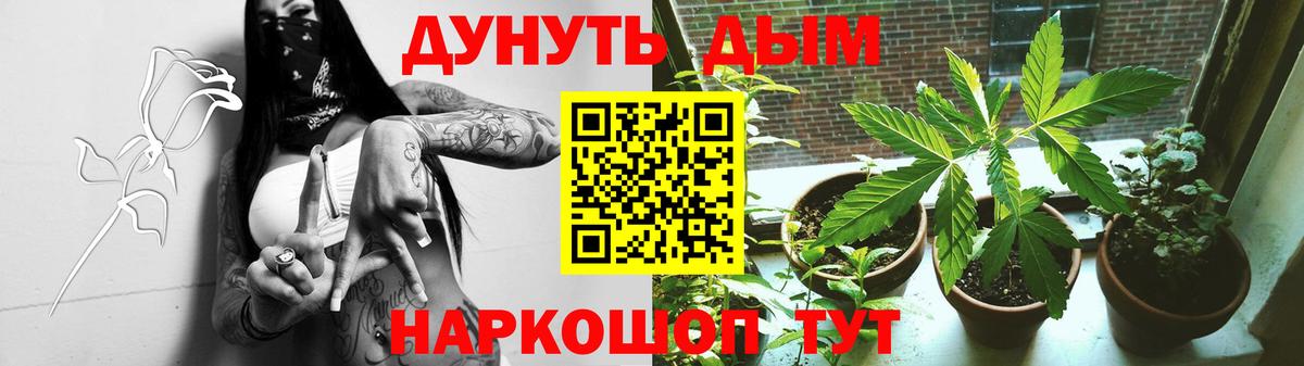 Каннабис Bruce Banner  Бошки марихуана план  Советский  Канабис Bruce Banner  Вход с VPN 